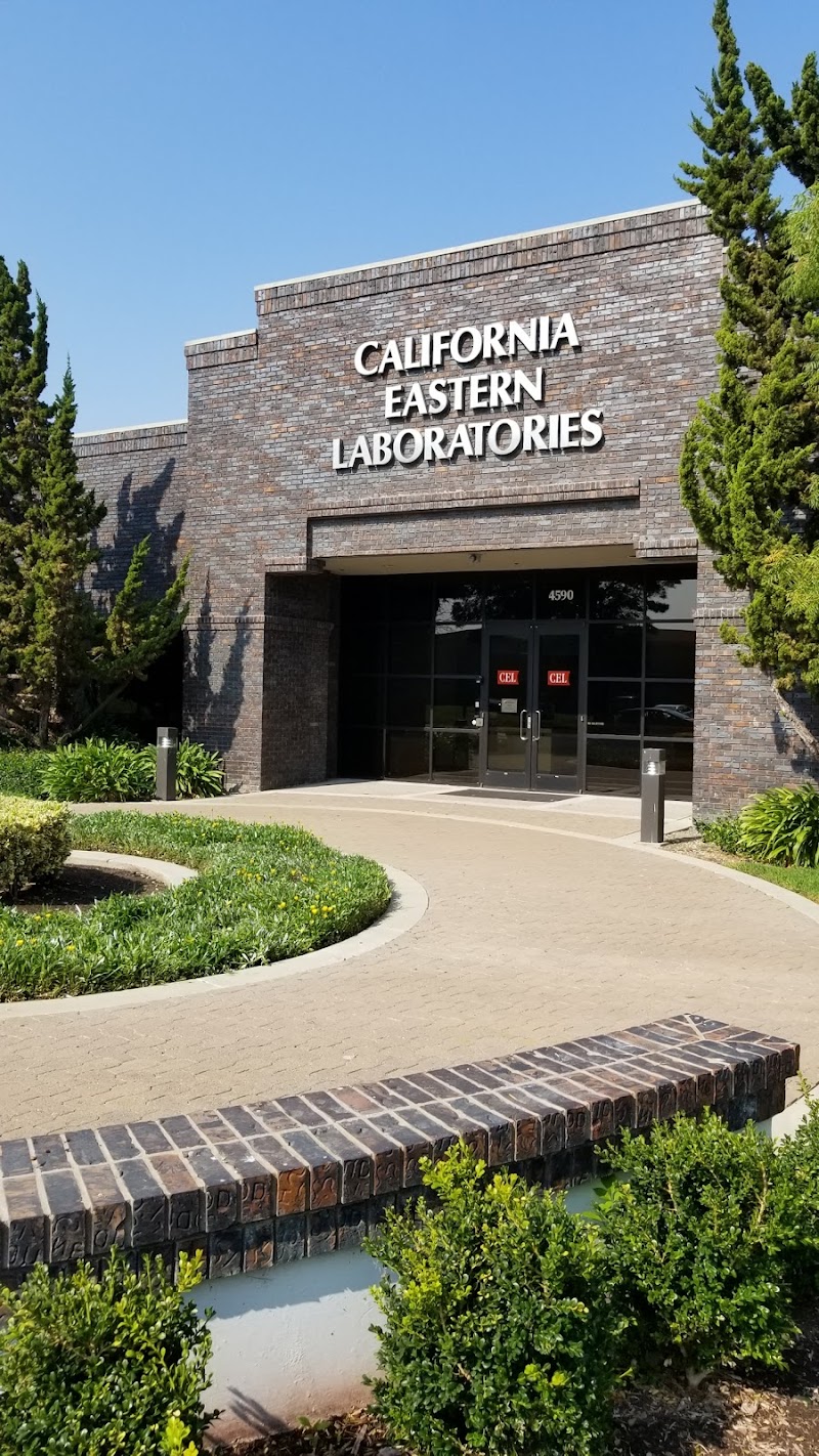 Photo of California Eastern Lab