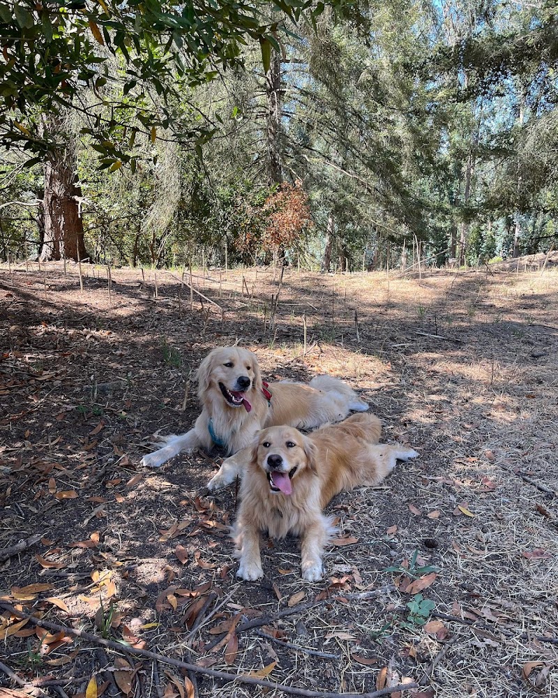 Tilden Regional Park - Big Springs Trail Parking Lot photo 2