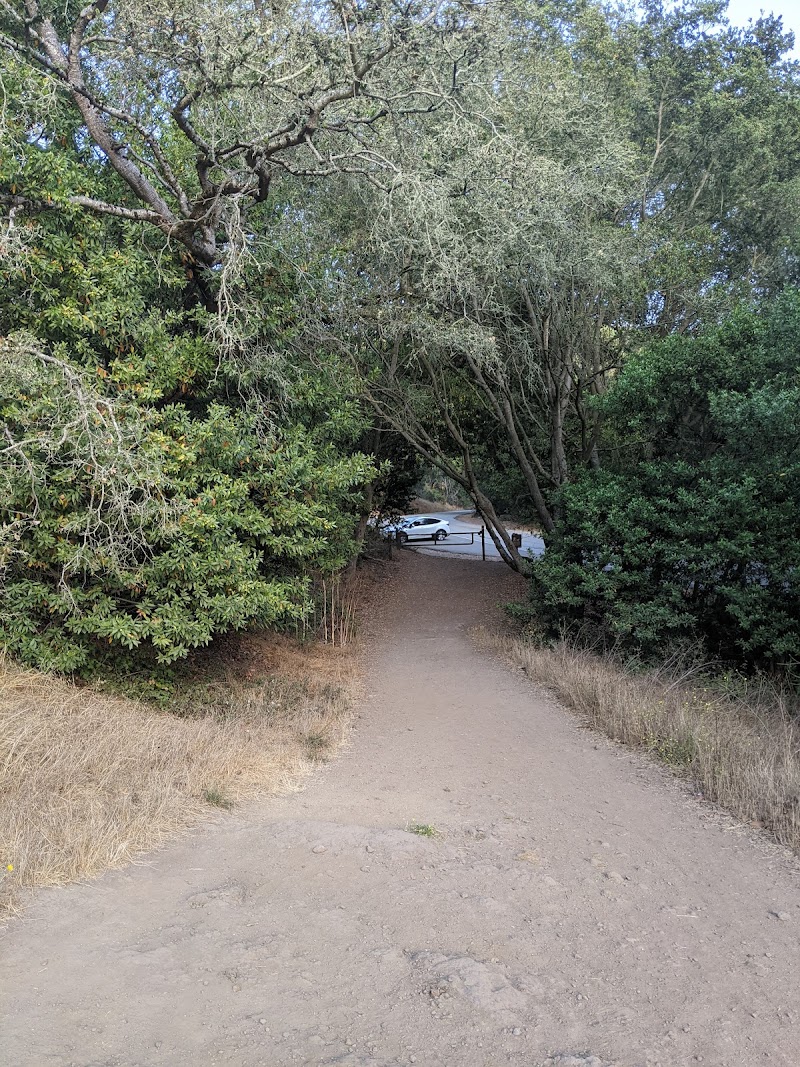 Photo of Tilden Regional Park - Big Springs Trail Parking Lot