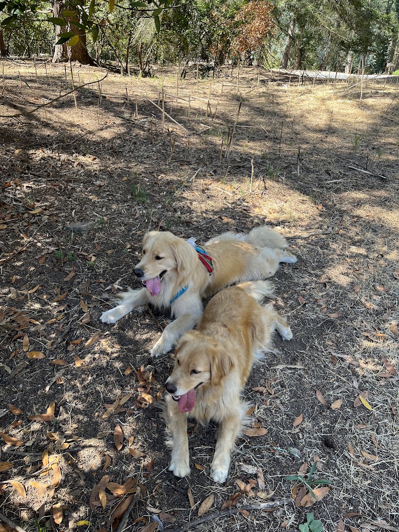 Tilden Regional Park - Big Springs Trail Parking Lot photo 5