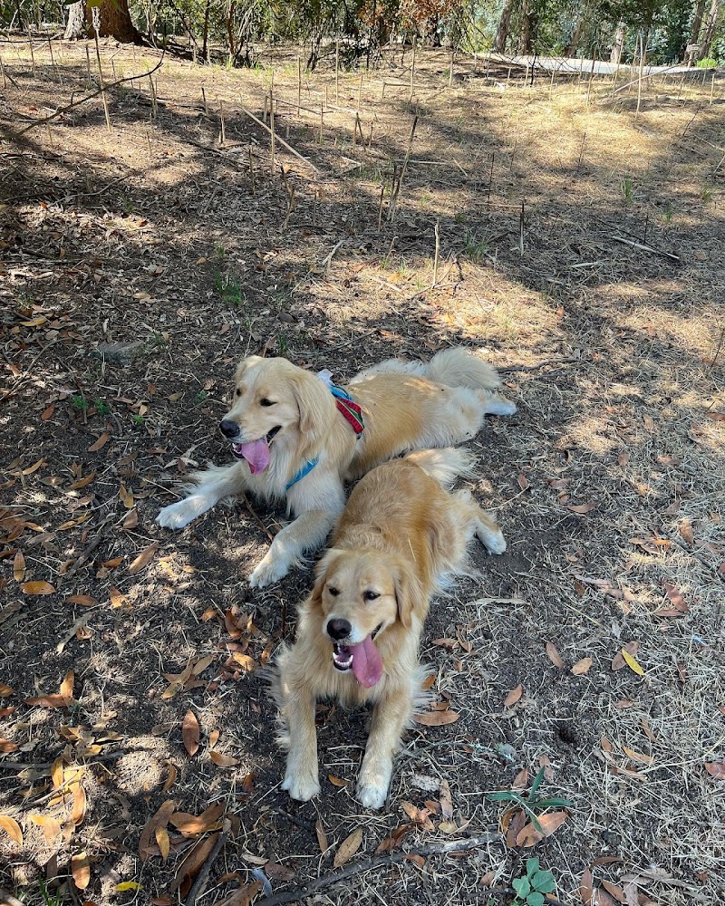 Tilden Regional Park - Big Springs Trail Parking Lot photo 4
