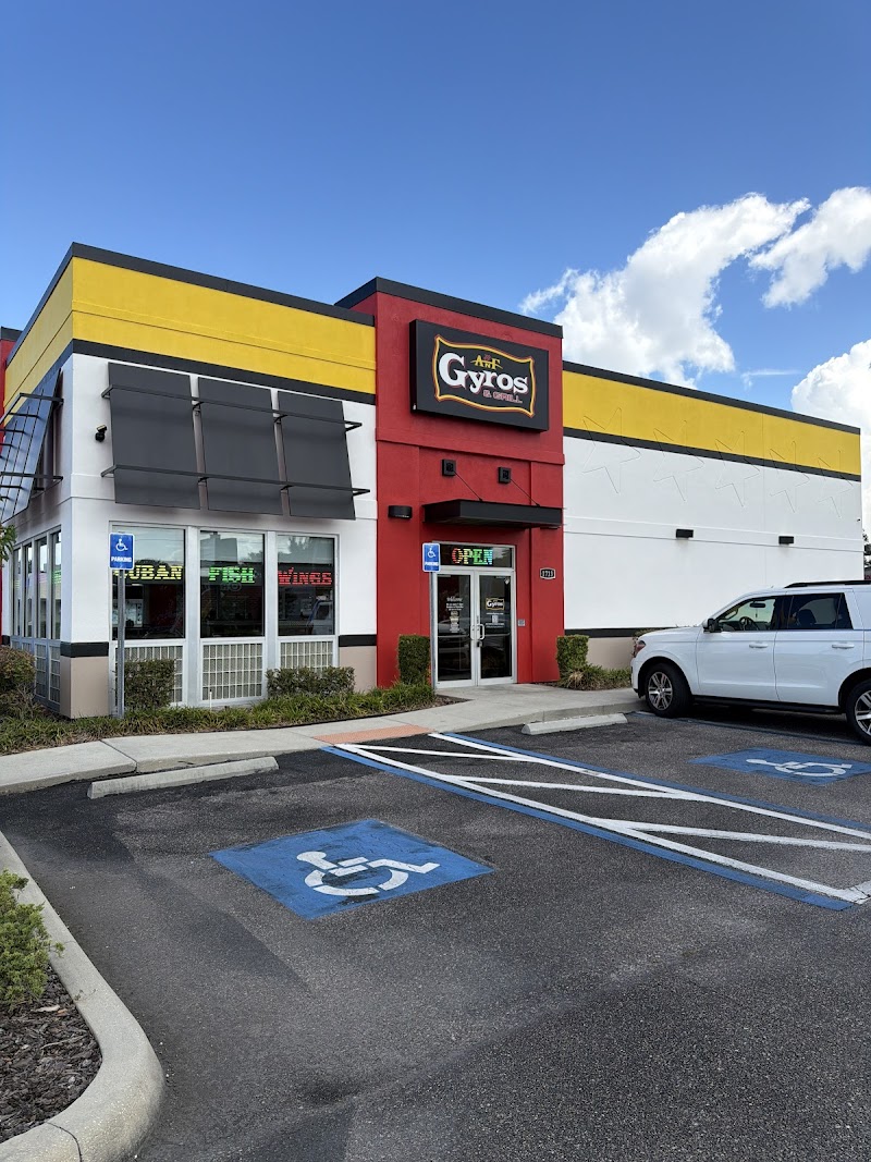 ANF GYROS AND GRILL photo 2