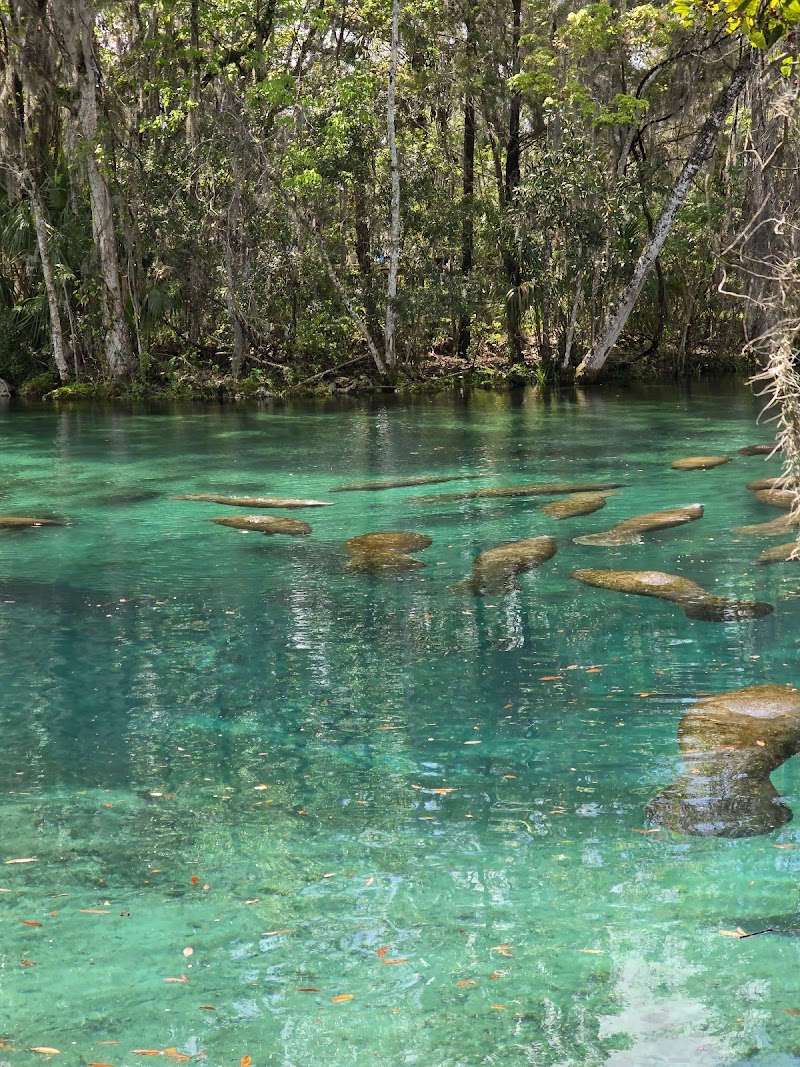Photo of Discover Crystal River - Visitors Center