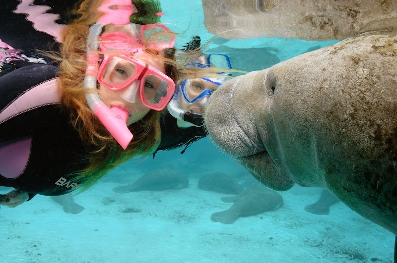 Discover Crystal River - Visitors Center photo 3