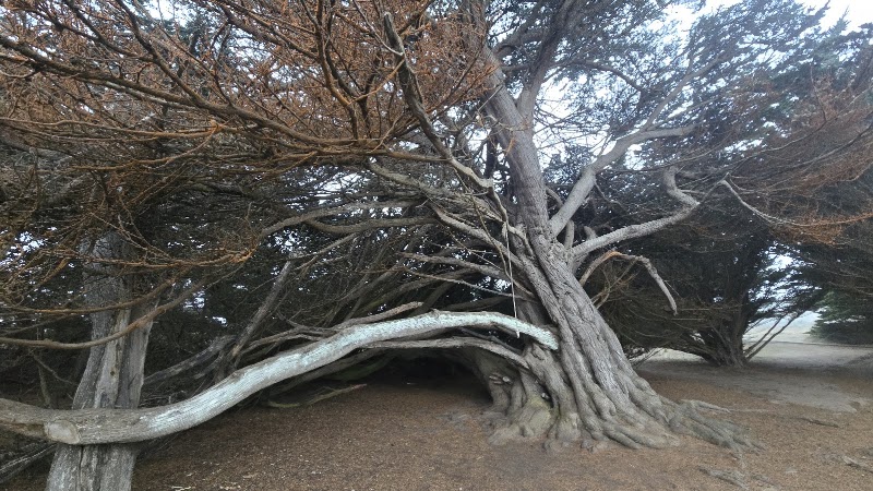 Labyrinth photo 5