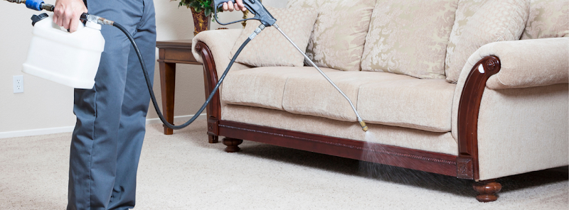 Belmont Carpet Cleaning Service photo 5