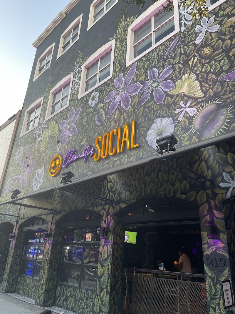 Photo of Clematis Social
