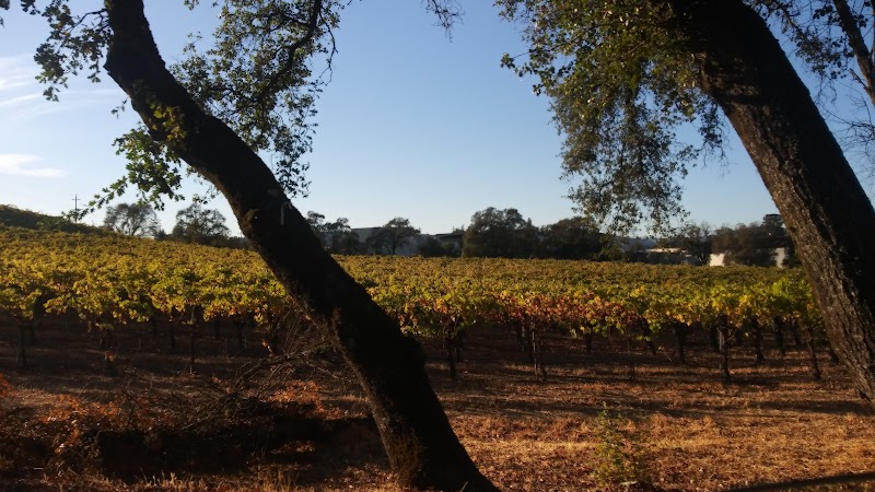 Asti Winery photo 2