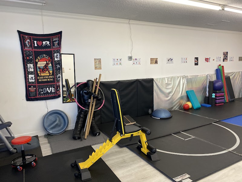 Photo of Dr. Sarsour’s Physical Therapy and Wrestling Academy