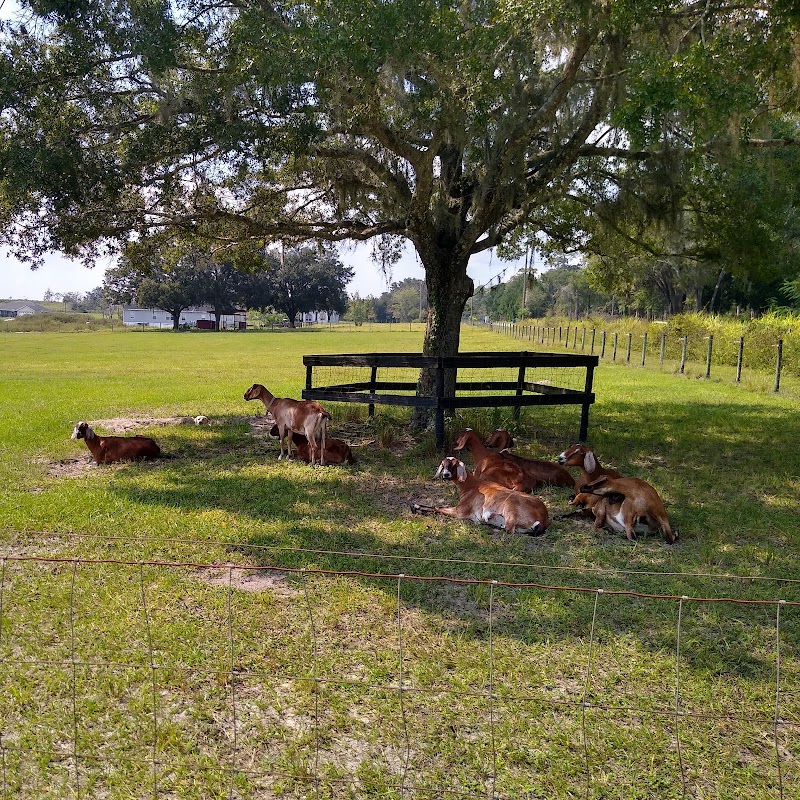 Sweet Briar Farm photo 2