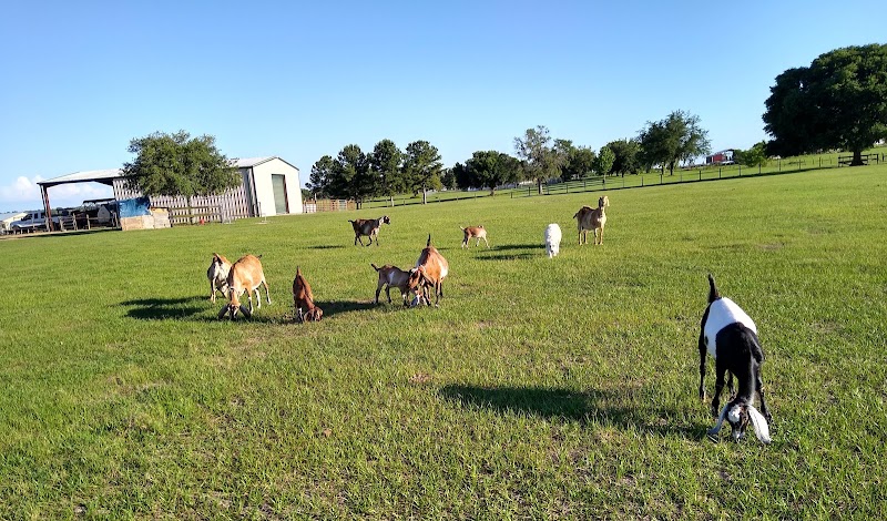 Sweet Briar Farm photo 5
