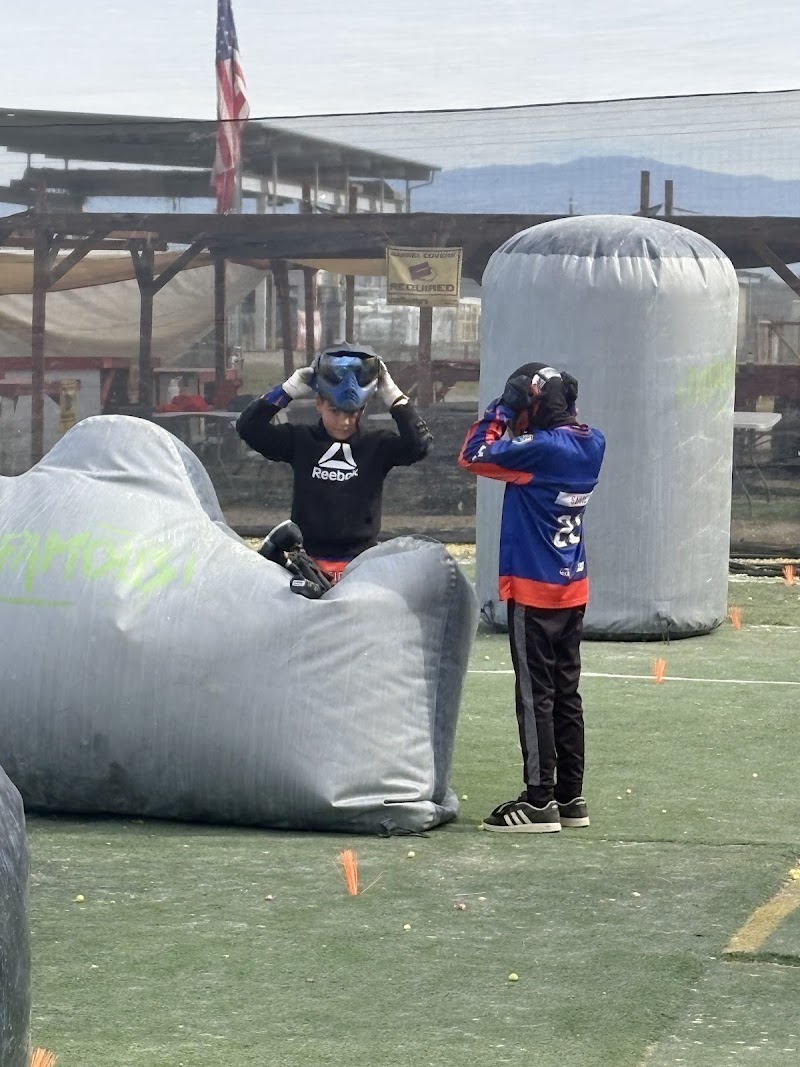 Alliance Precision Sports photo 3