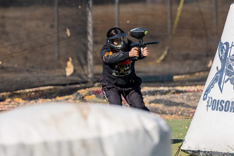 Alliance Precision Sports photo 5