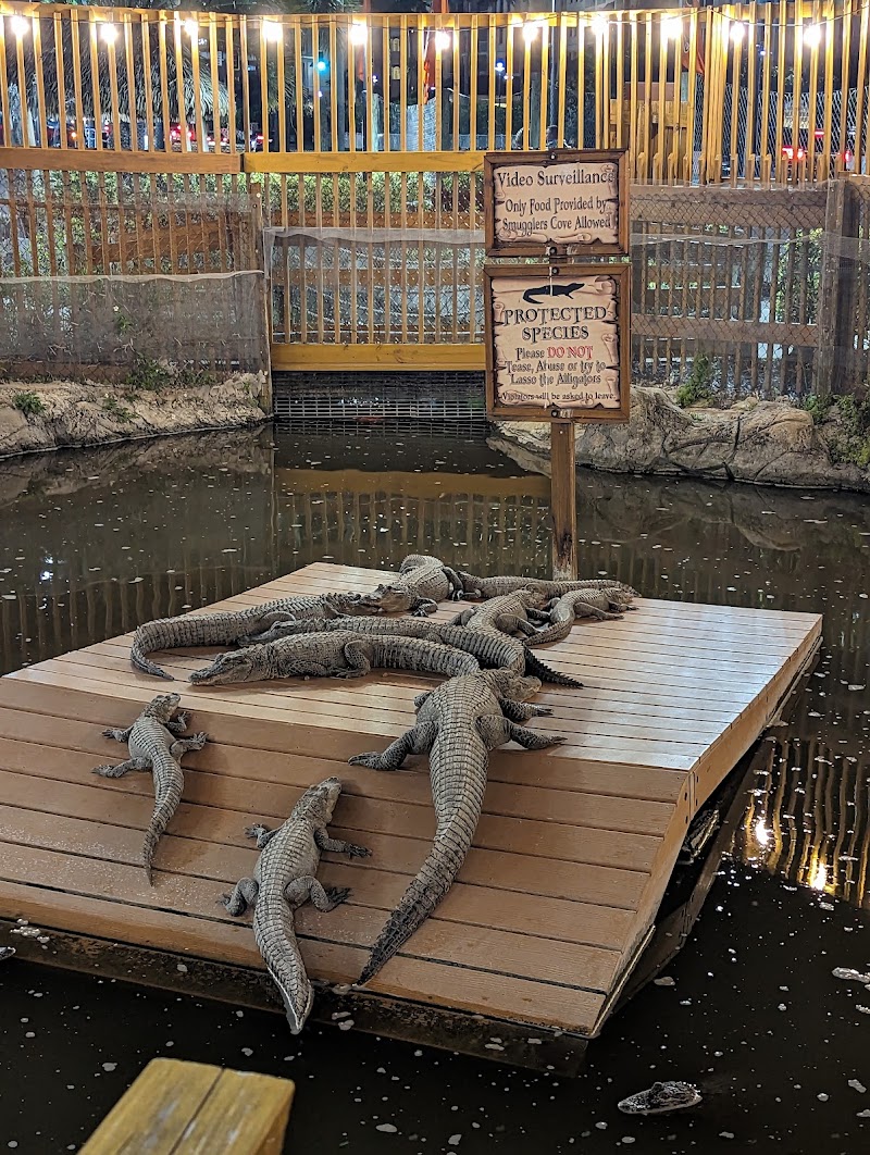 Smugglers Cove Adventure Golf photo 3