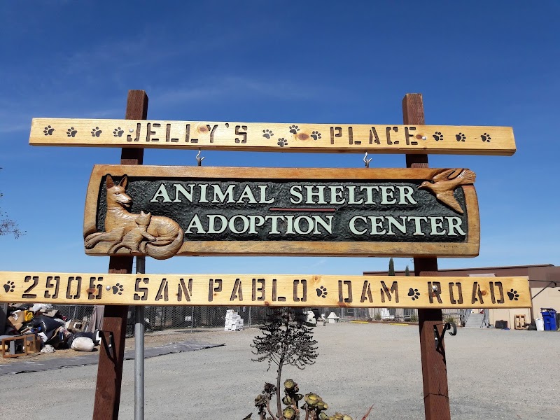 Photo of Jelly's Place