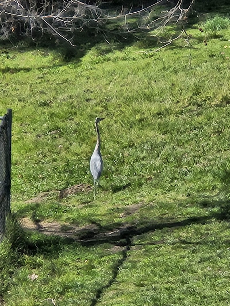 East Bay Regional Park photo 5