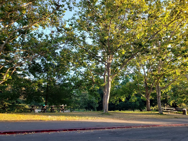 East Bay Regional Park photo 3