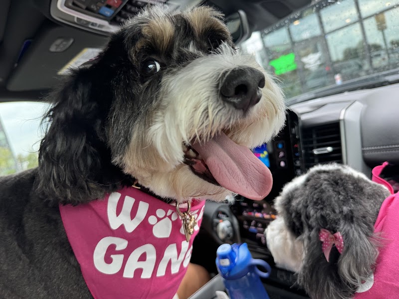 Woof Gang Bakery & Grooming Apollo Beach photo 3