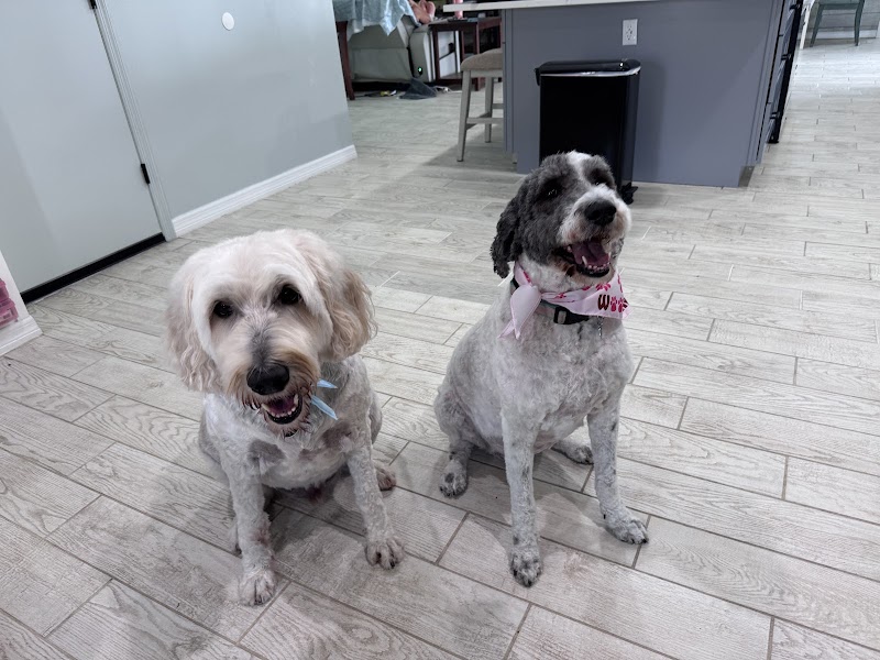 Woof Gang Bakery & Grooming Apollo Beach photo 4