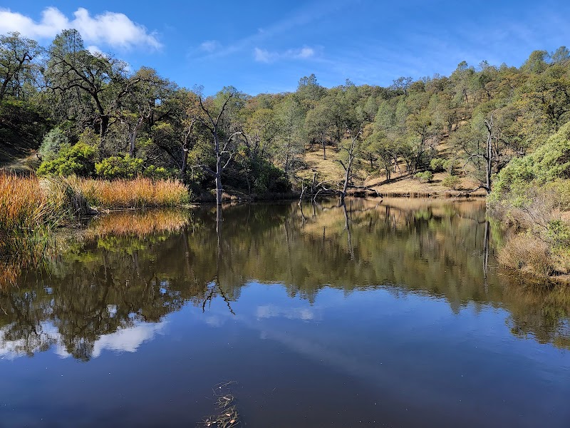 Henry W. Coe State Park photo 2