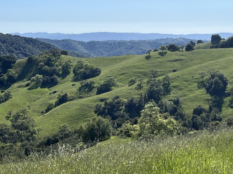 Photo of Henry W. Coe State Park