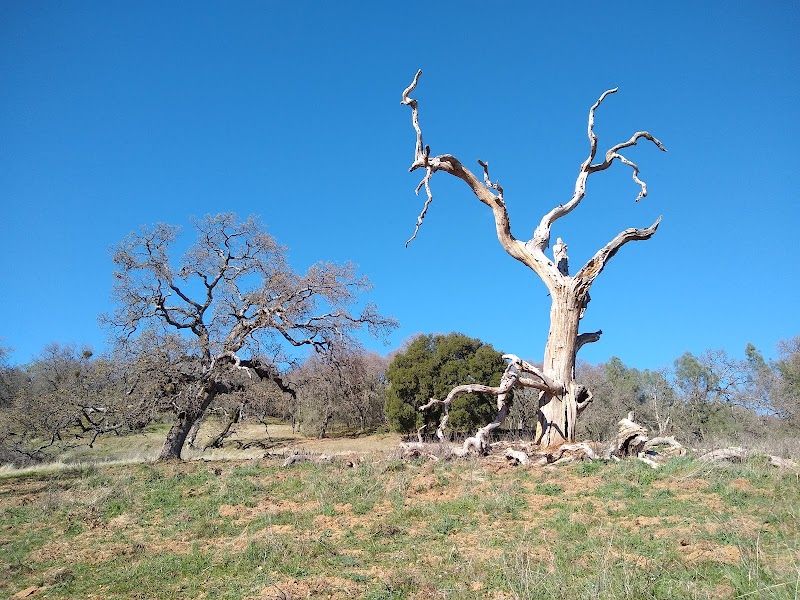 Henry W. Coe State Park photo 4