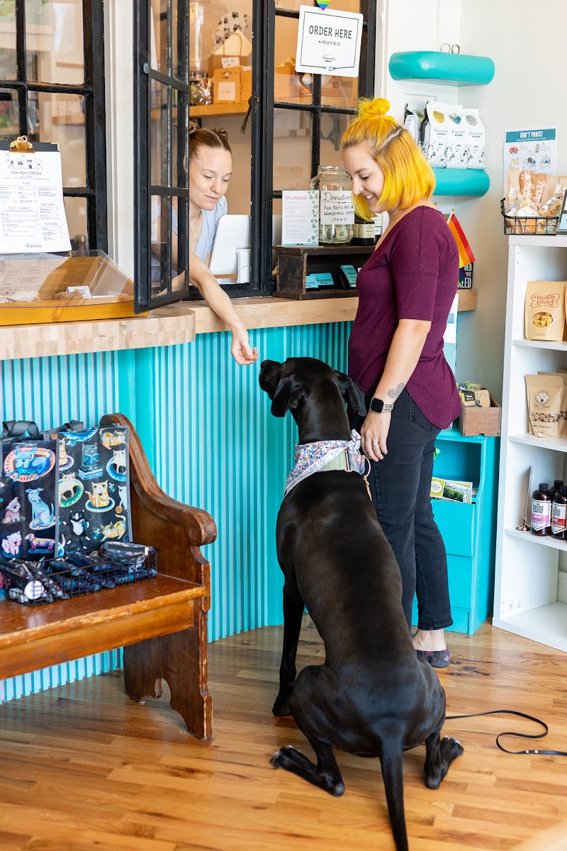 Photo of Zoomies Pet Cafe + Boutique