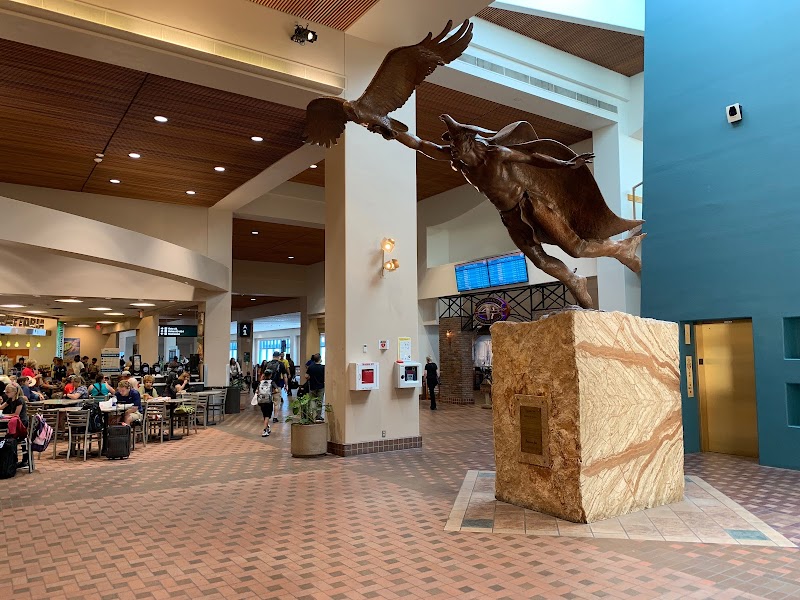 Albuquerque International Sunport photo 3