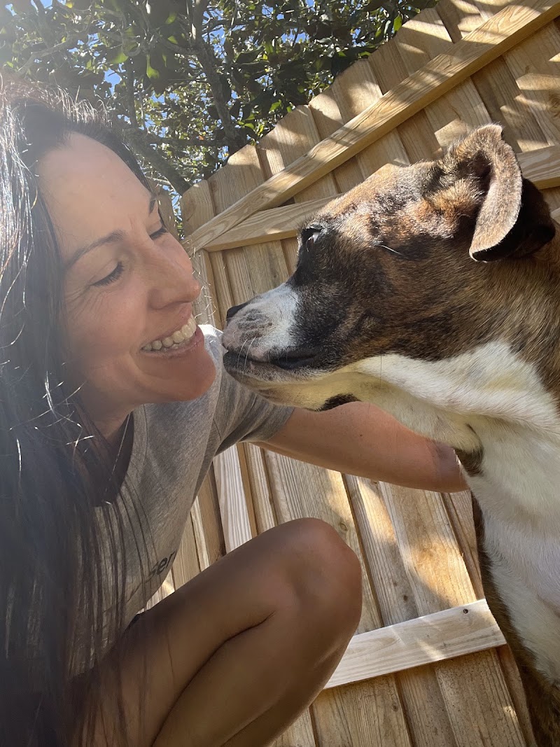 Pet Nanny Service photo 4