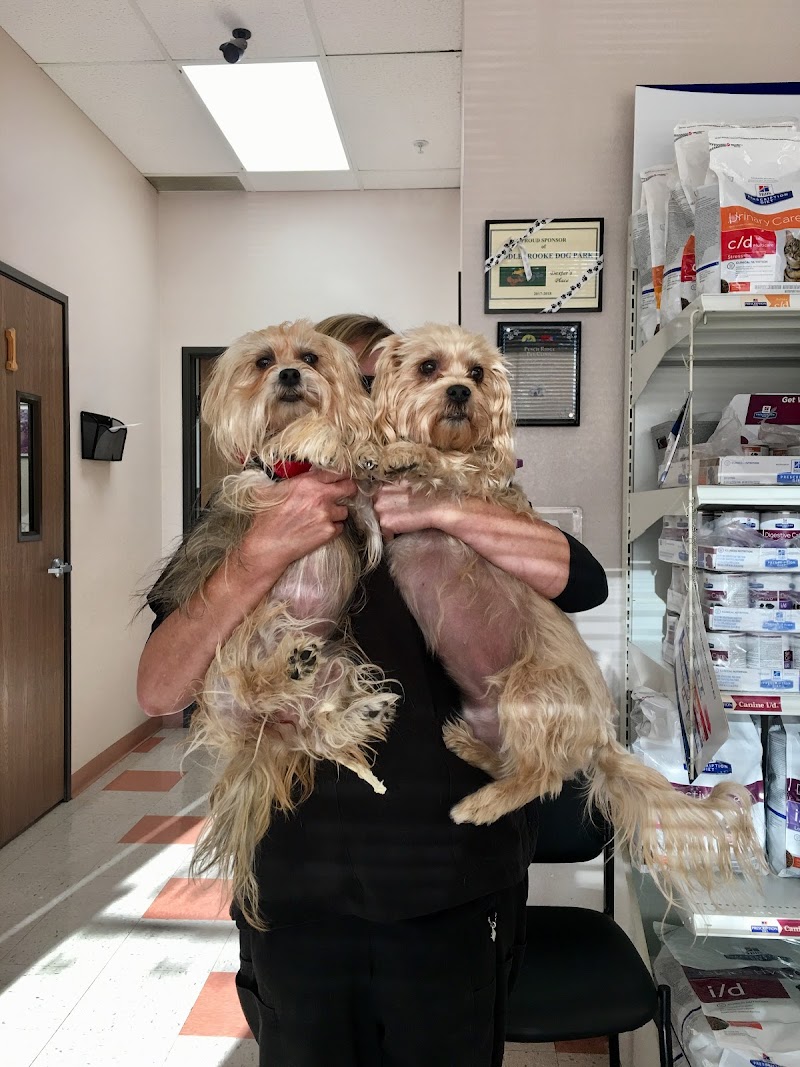 Photo of Pusch Ridge Pet Clinic