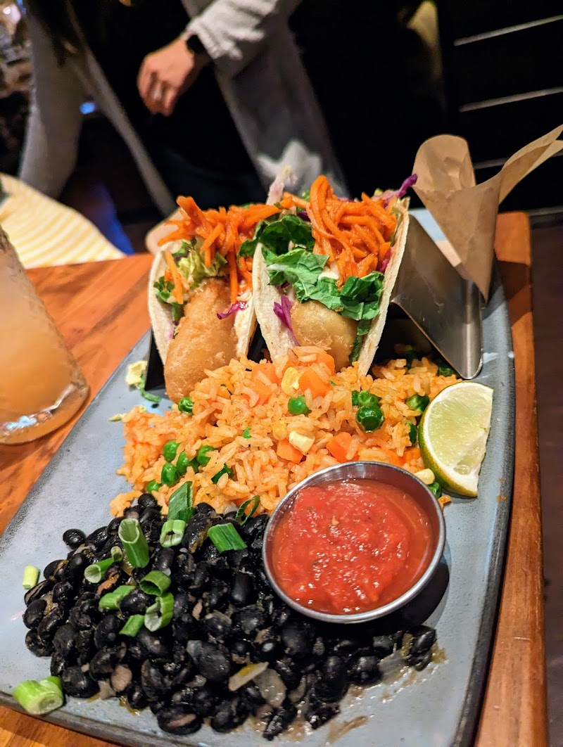 Roadtrip Bowls Made by Lazy Dog photo 3