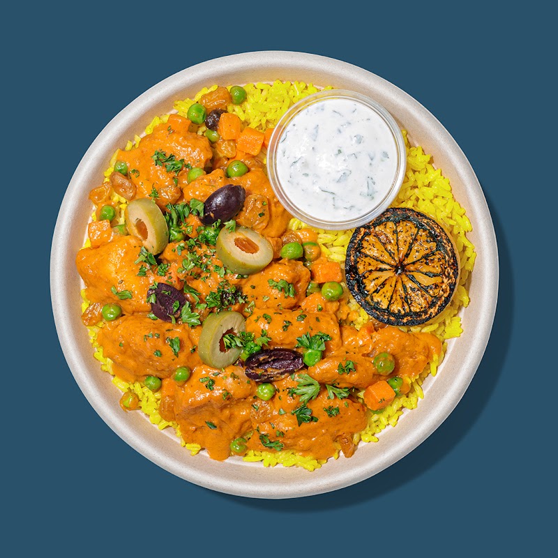 Roadtrip Bowls Made by Lazy Dog photo 4