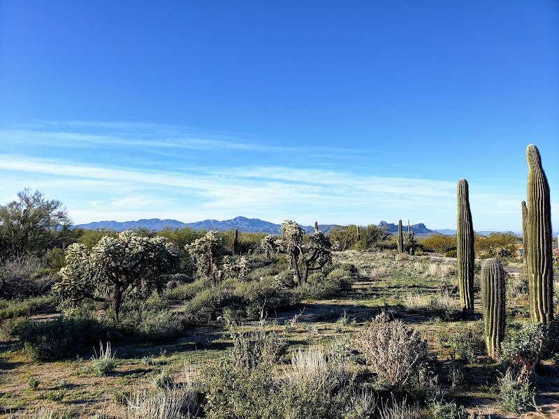 Tangerine Sky Community Park photo 2