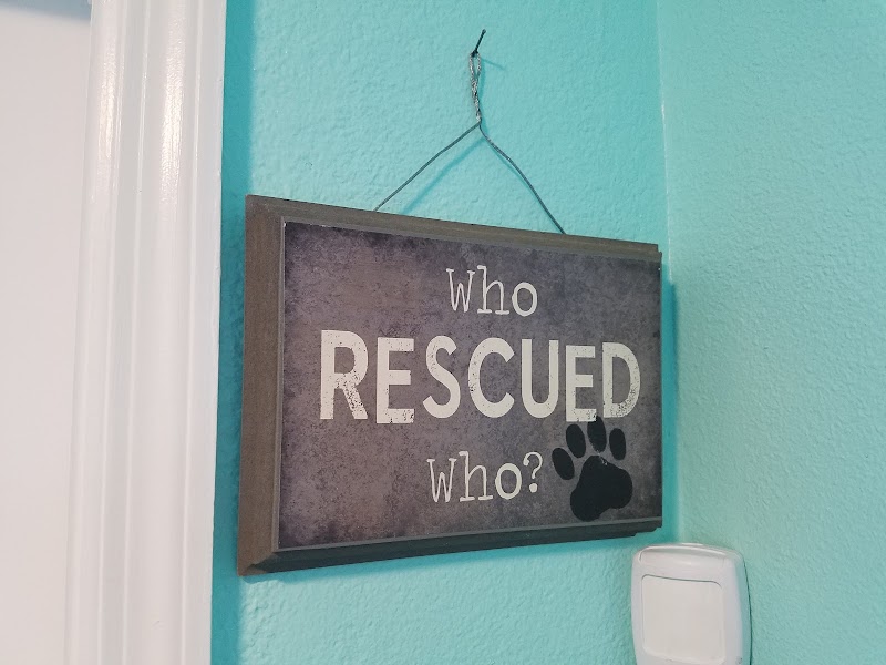 Animal Hospital of West Bay photo 5