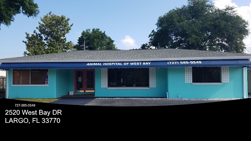 Photo of Animal Hospital of West Bay