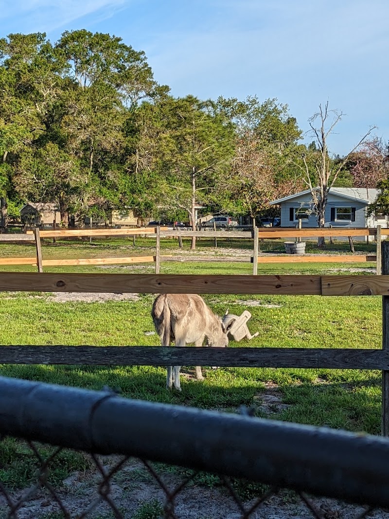 Photo of First Choice Equestrian Center