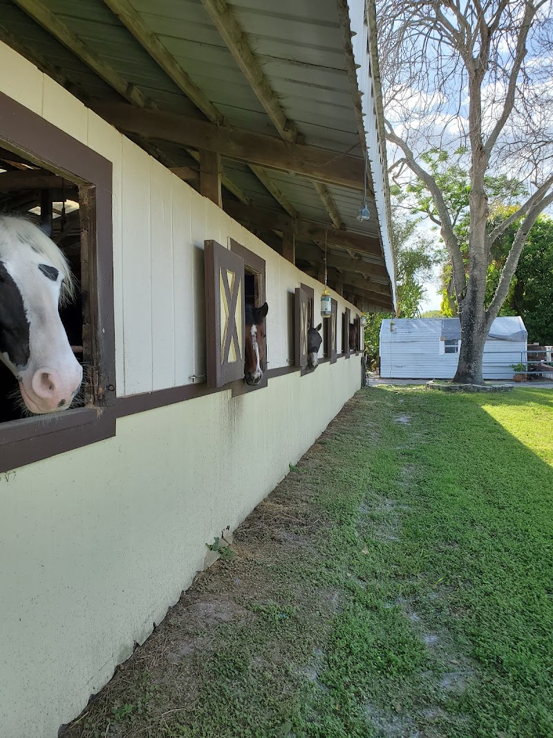 First Choice Equestrian Center photo 2
