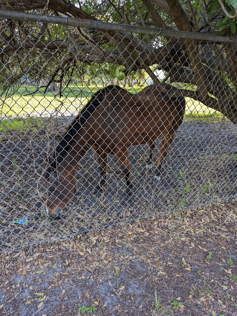 First Choice Equestrian Center photo 4