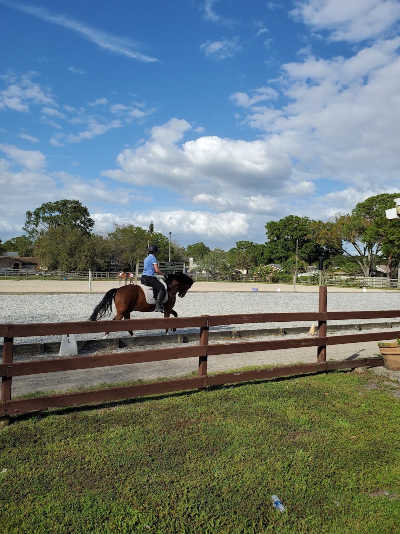 First Choice Equestrian Center photo 5