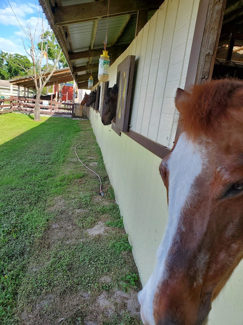 First Choice Equestrian Center photo 3