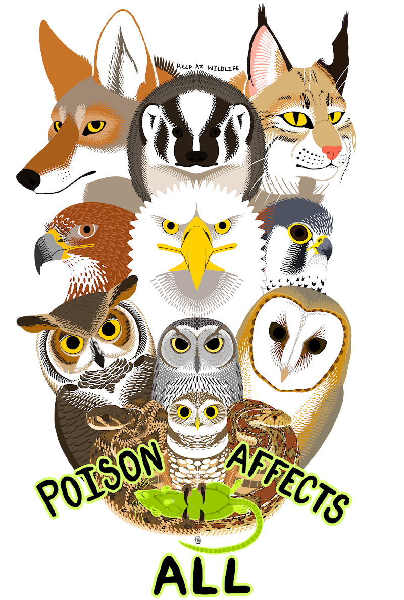 Arizona Wildlife Resource photo 5