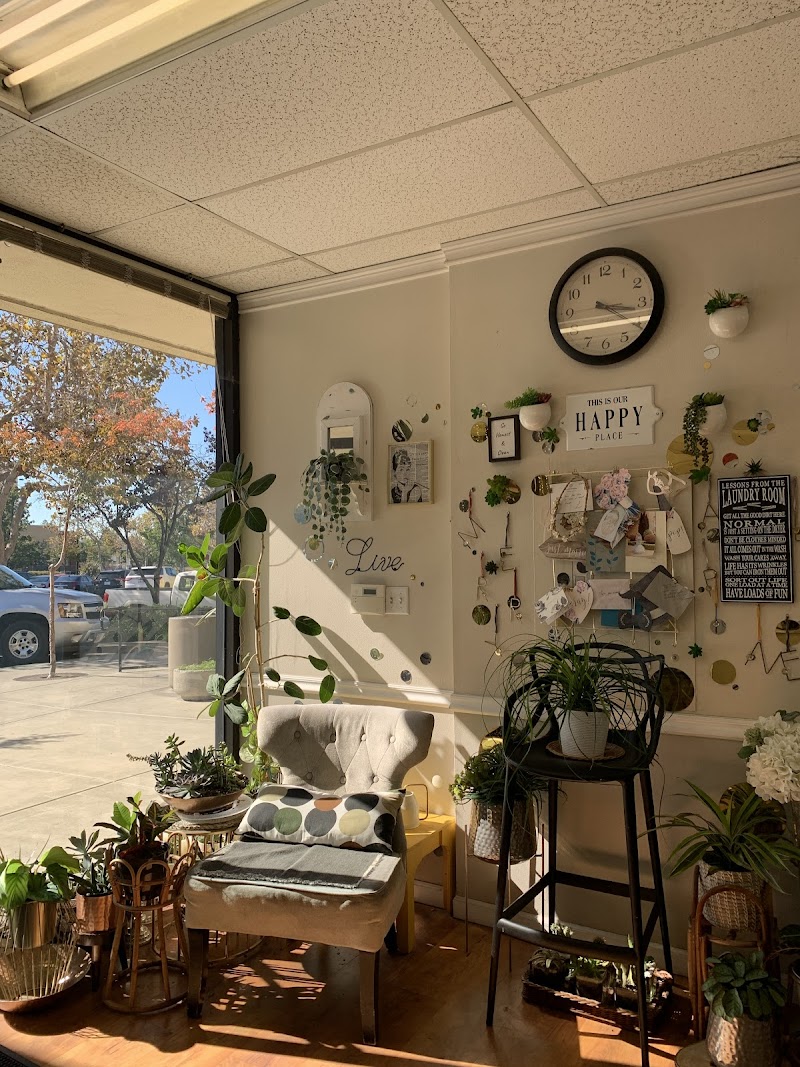 Photo of Alpine Cleaners