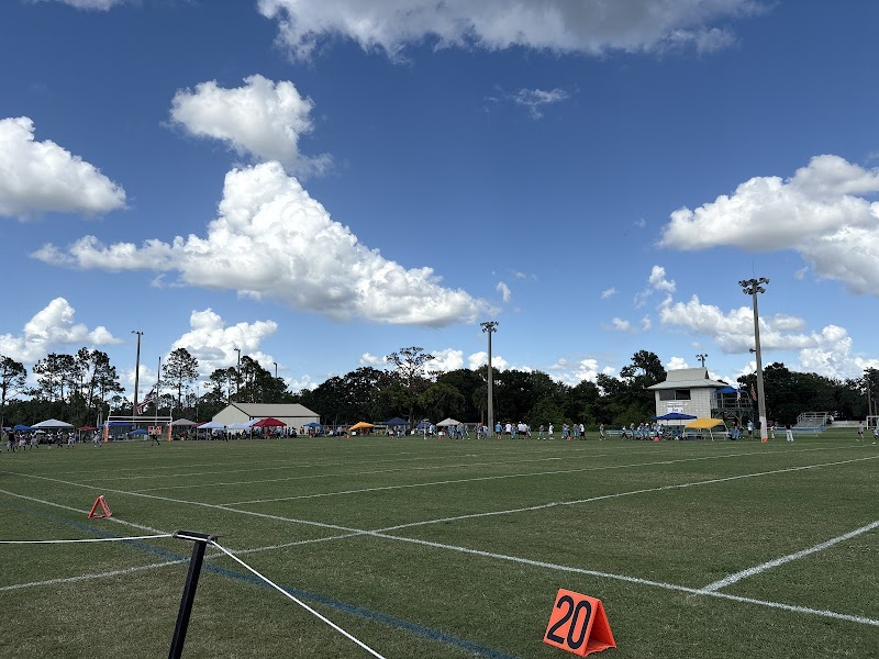 Plant City Dolphins Football photo 2