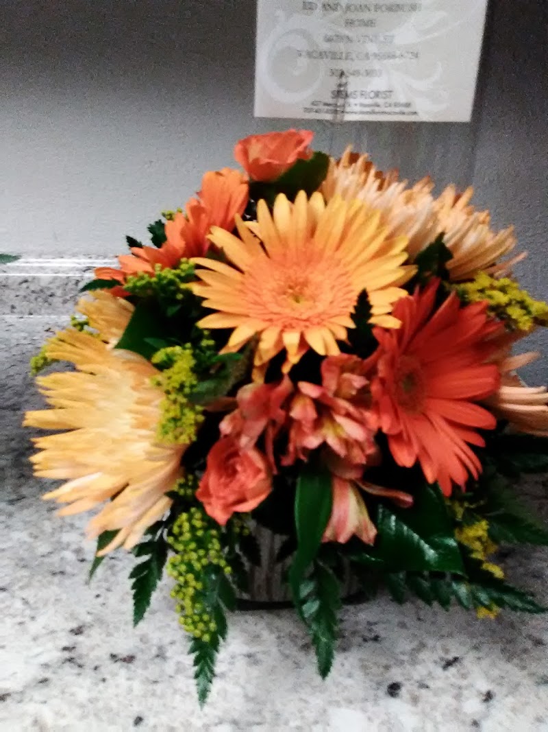 Stems Florist photo 4