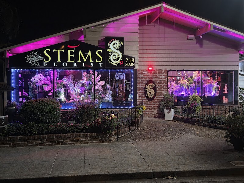 Photo of Stems Florist