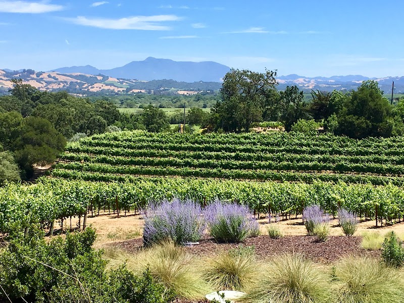 MacRostie Winery Estate House photo 3