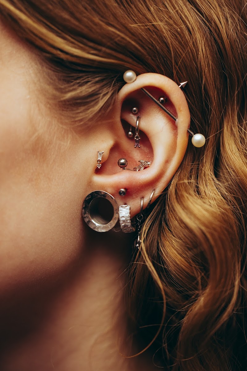Zebra Tattoo & Body Piercing photo 3