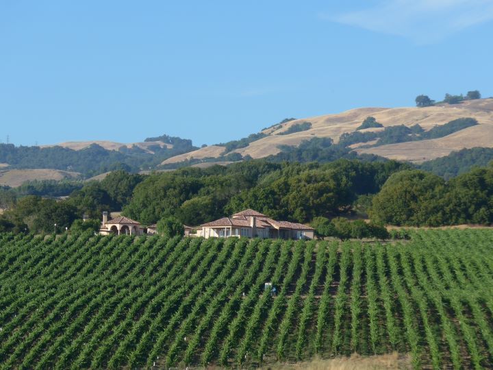 Ron Noble Wines photo 5