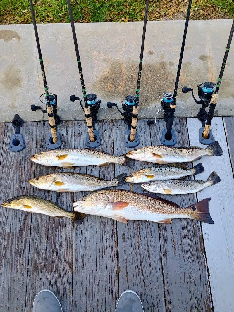 Reeltampabaycharters photo 3
