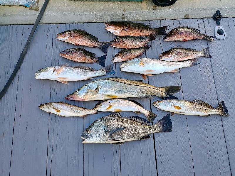 Reeltampabaycharters photo 2